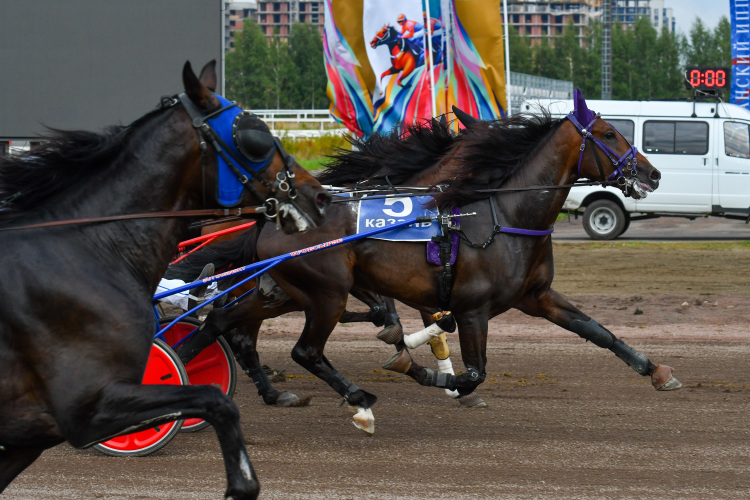 Теперь единственный владелец ипподрома— АНО «Казанский ипподром», единственный учредитель которого — АО «Рацин», подведомственный минсельхозу РТ