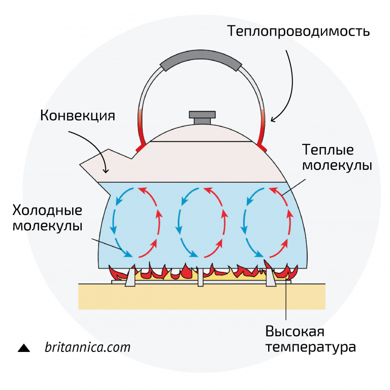 Конвекция нагреваемой в чайнике воды