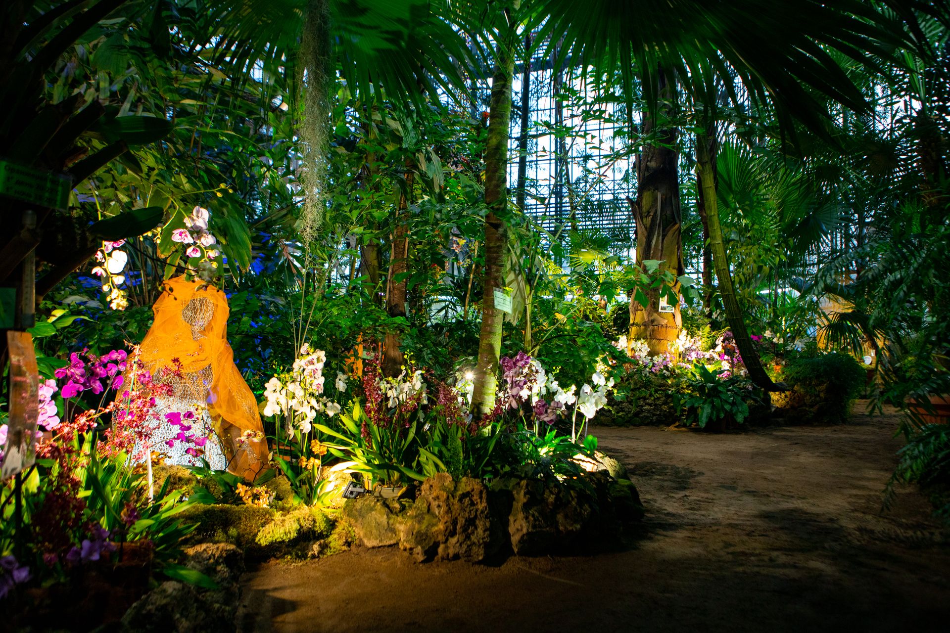 Выставка орхидей в ботаническом саду. Ботанический сад спб орхидеи. Выставка орхидей в спб 2022 ботаническом саду. Ботанический сад санкт-петербург орхидеи. Ботанический сад санкт-петербург орхидеи выставка.