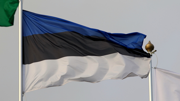 Что задумала Эстония на границе с Россией? Шутки кончились, уже не до смеха