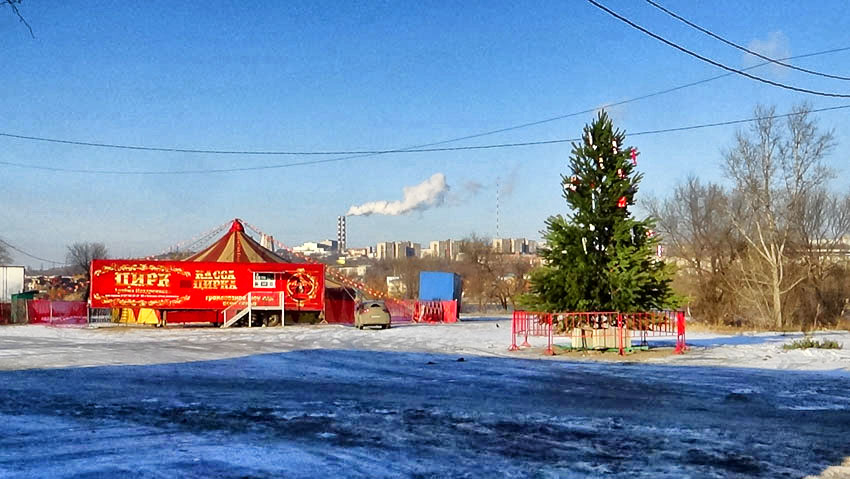 В Камышине нарядили елку в бухте