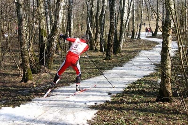 Лыжники по лесу спортсмены