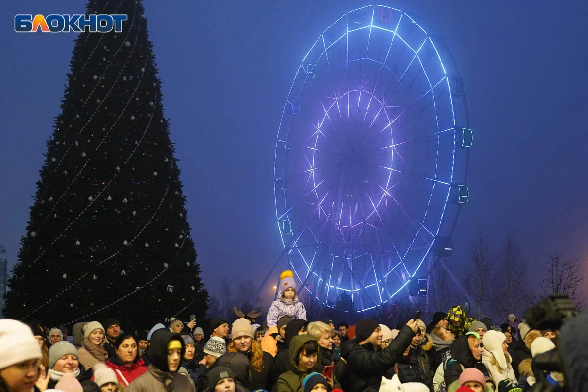 епархиальная елка волгоград 2024