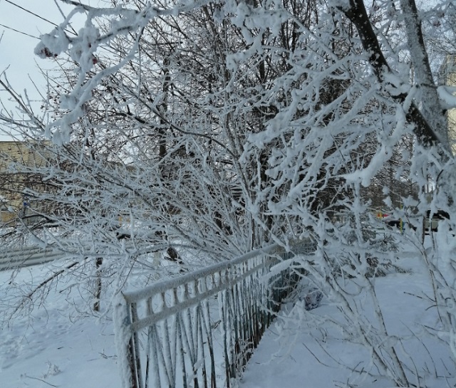 Мороз школа уроки. Морозы в Мордовии. Январские Морозы картинки. Морозный январь картинки. Отмена занятий из-за Морозов.