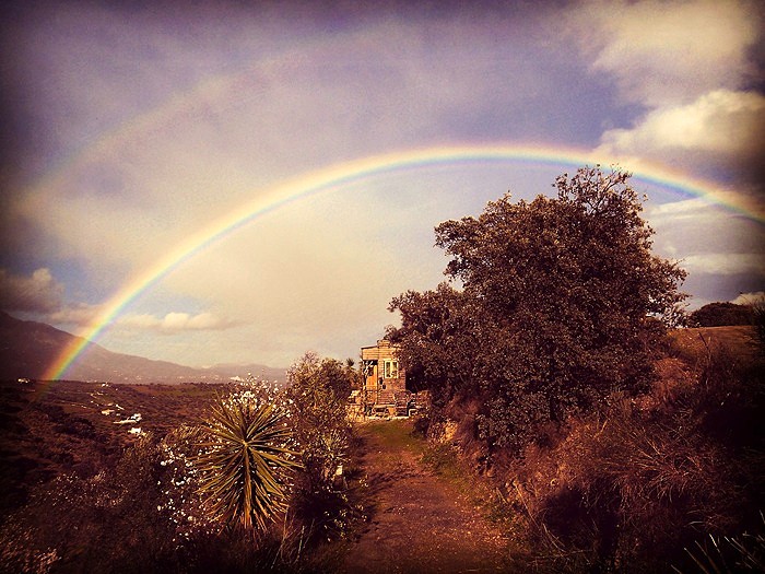 Для мини-дома нашлось живописное местечко.