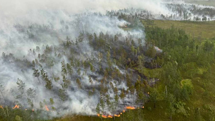 На четыре природных пожара меньше стало в Амурской области - gtrkamur.ru