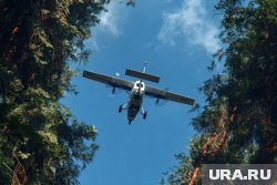 Беспилотники ВС РФ уничтожили силы противника