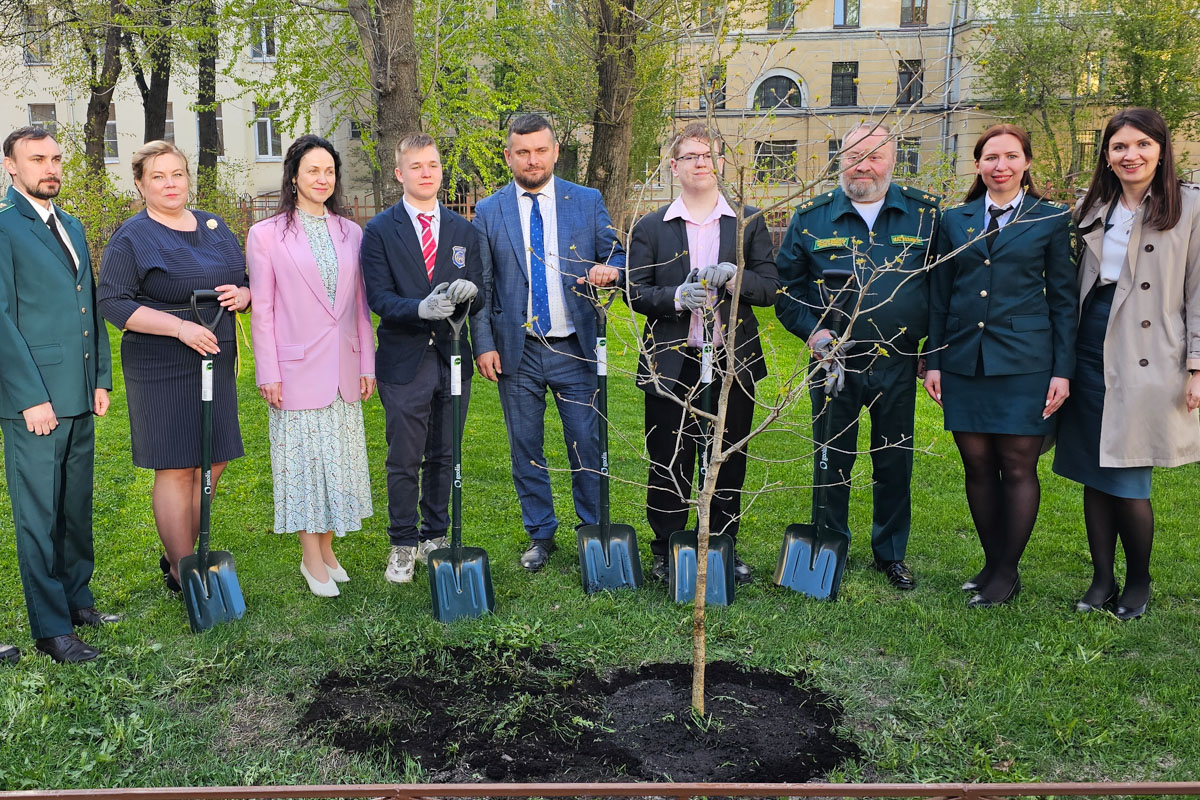 Планируется реализация комплекса мероприятий 