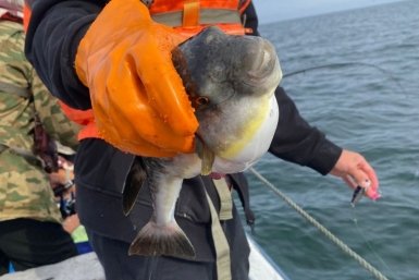 5615037.jpg?04640ff10afc4ad07267132ffb63e4cf