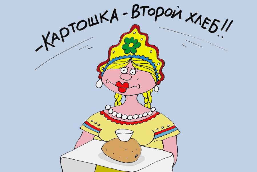 Осень сбрасывает цену — и другие новос­ти продовольственного рынка | Рисунок Михаила ЛАРИЧЕВА