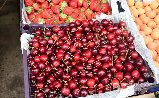 Минсельхозпрод Татарстана: «Ежегодно количество хозяйств, закладывающих плодовые и ягодные насаждения, растет»
