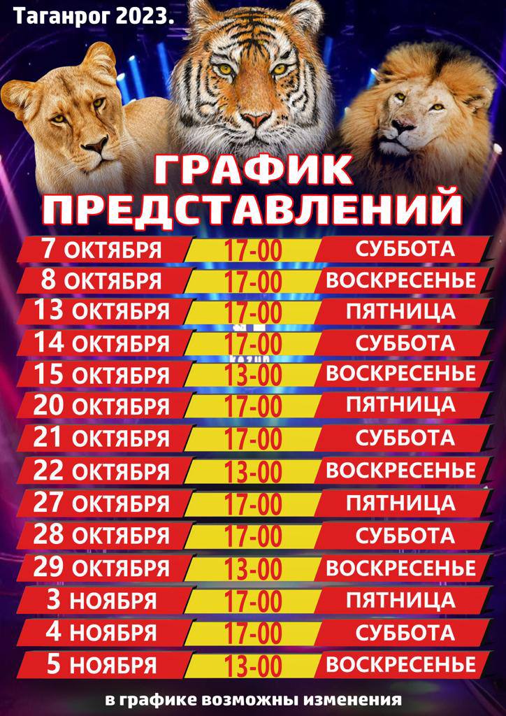 Тигры в городе цирк Таганрог билеты. Цирк таганрог русское поле