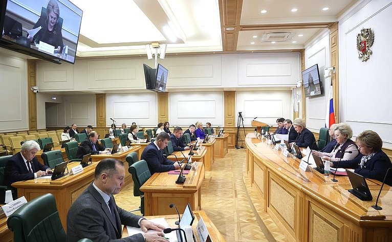 Заседание Комитета Совета Федерации по науке, образованию и культуре