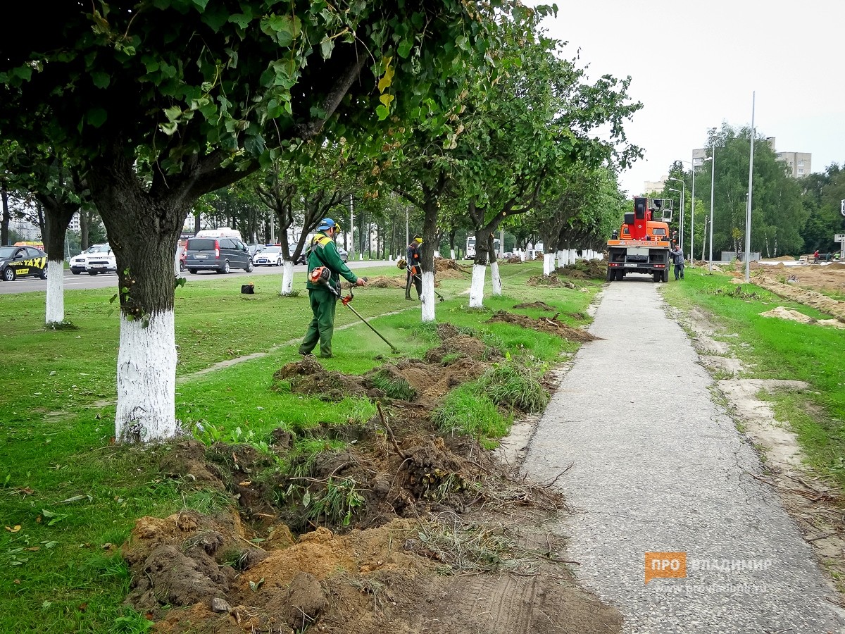 Во Владимирской области в 2023 году благоустроят 81 двор и парк