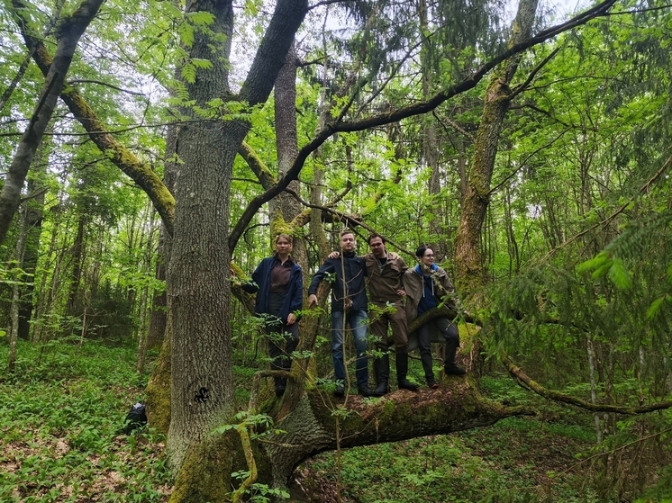 Студенты-историки ПсковГУ проходят археологическую практику в специальном кружке