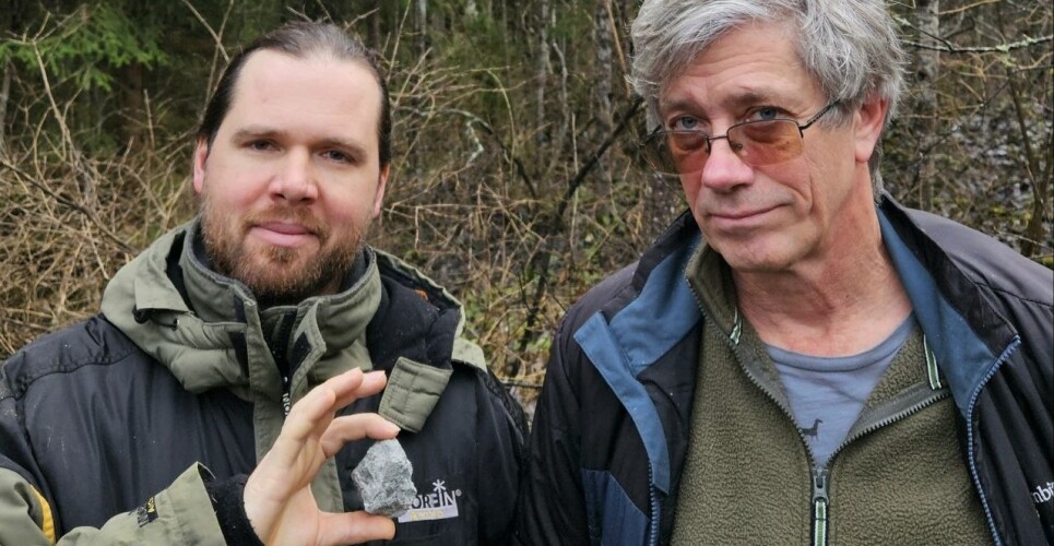 Поиски метеорита Окуловка продолжатся на Новгородчине весной