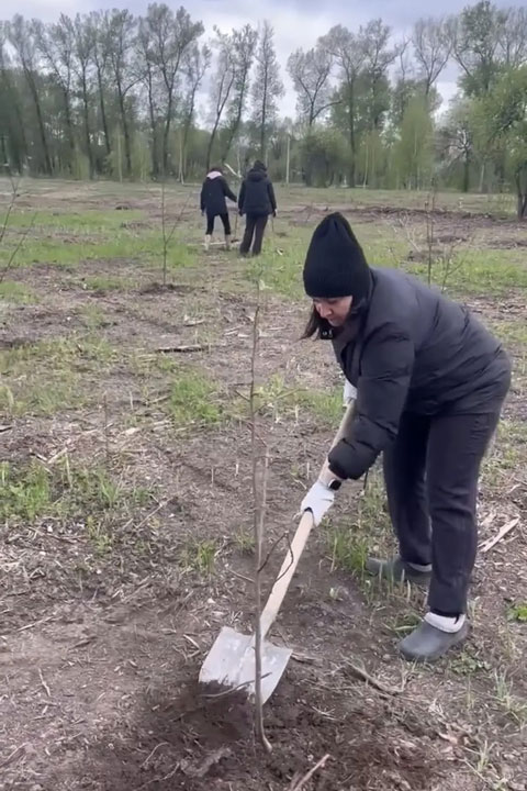 Сотрудники Хакасского муниципального банка присоединились к проекту «Яблоневый сад»