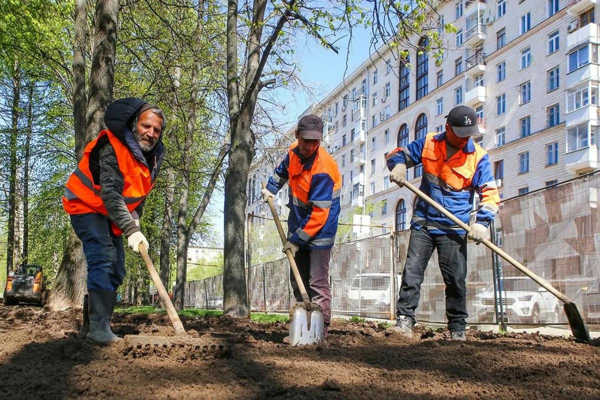 В Ульяновской области с 1 февраля начнут принимать заявки от ТОС на финансовую поддержку проектов благоустройства