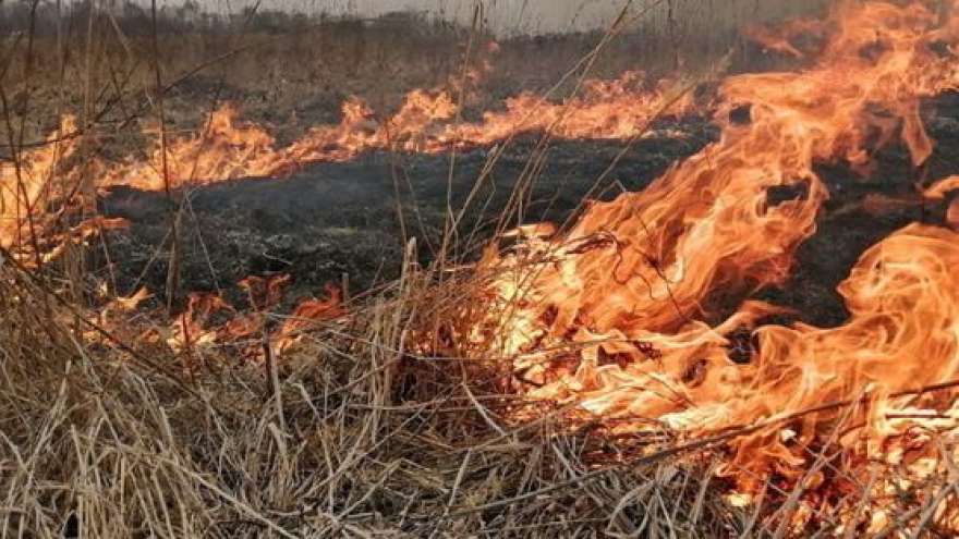 В Саткинском районе с 15 апреля - пожароопасный сезон