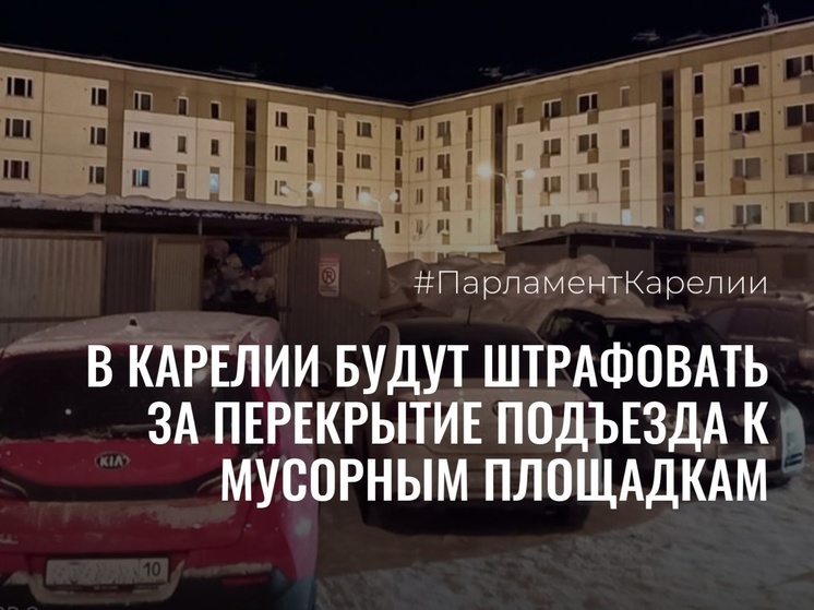 Водителей в Карелии начнут штрафовать за парковку вблизи мусорных контейнеров