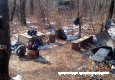 900x600_adaptiveResize_galleries_2302_85c23485.jpg