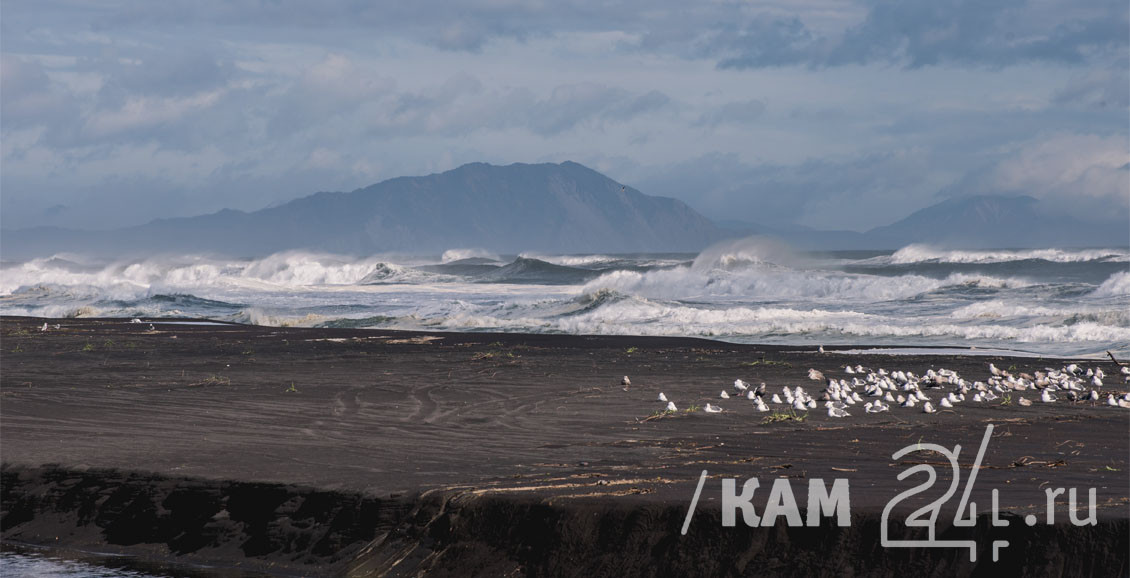 Серый песок море. Женщина на море. Девушки на природе и на море. Море солнце радость. Жизнь в океане.