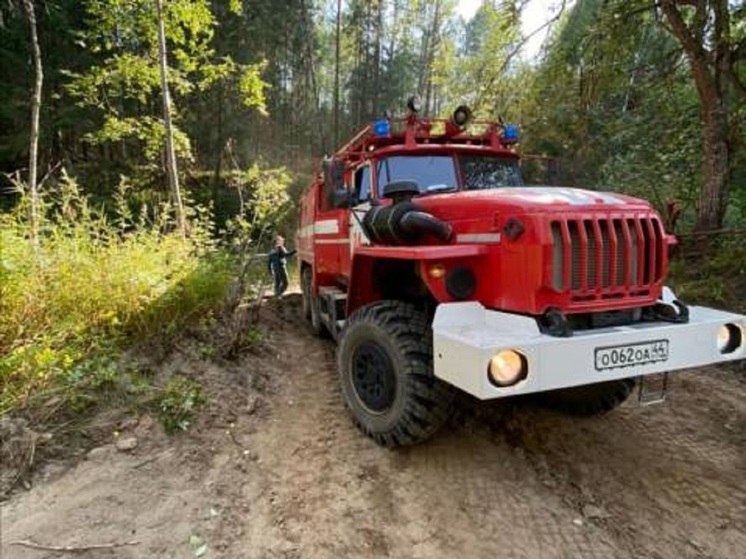 В Костромской области обнаружен еще один лесной пожар — на сей раз в Макарьевском районе