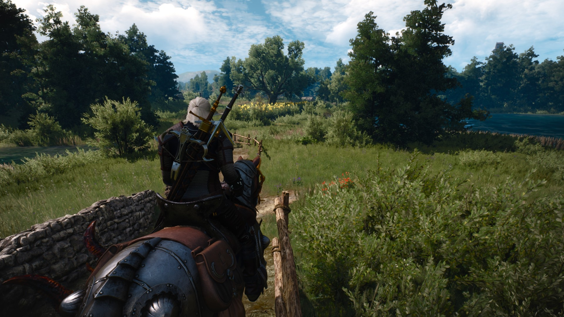 E3 inspired gameplay mod the witcher 3 фото 107