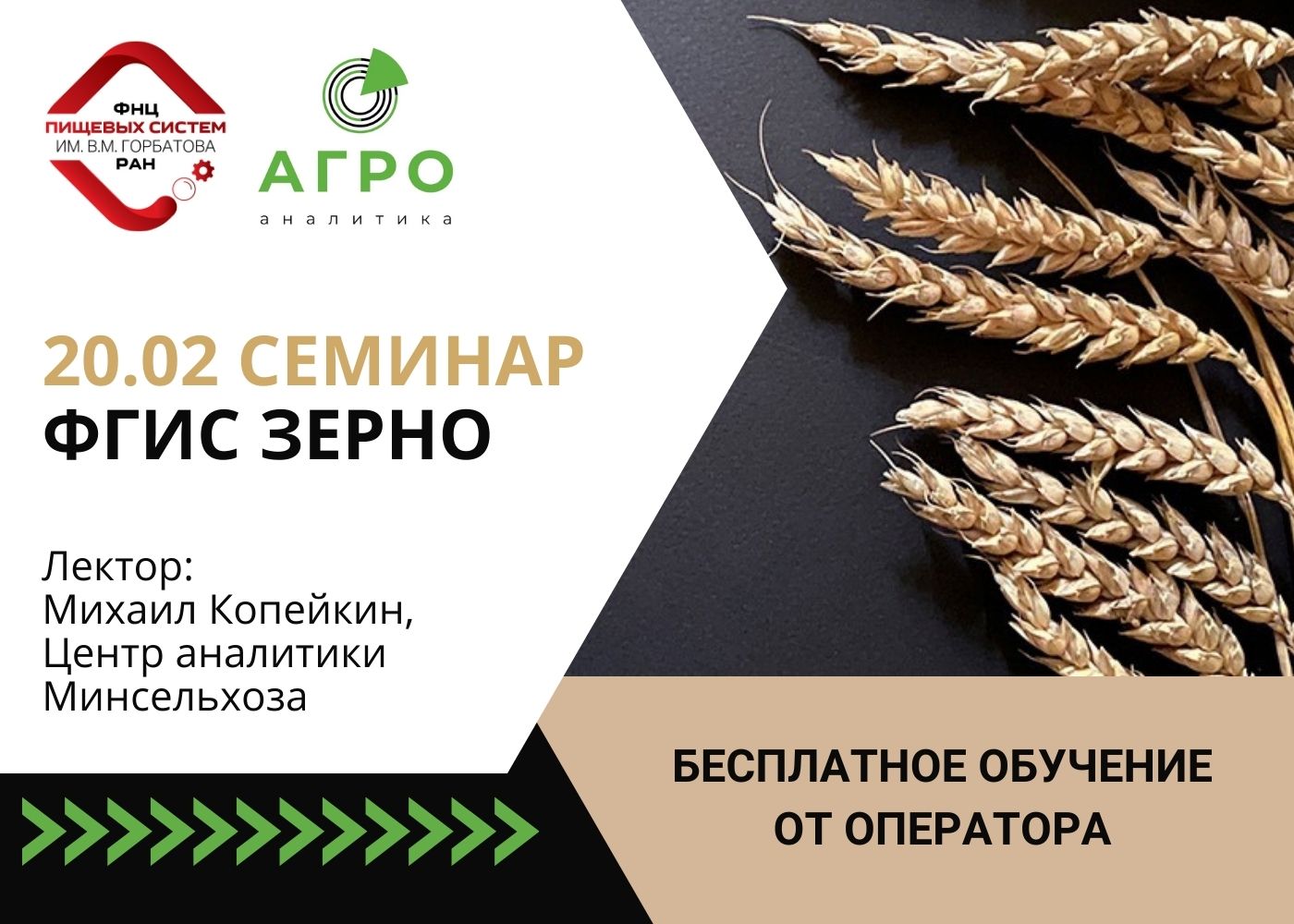 Нии горбатова. Пищевых систем горбатова. Федеральный научный центр пищевых систем им в. Фнц пищевых систем им горбатова. М горбатова логотип.