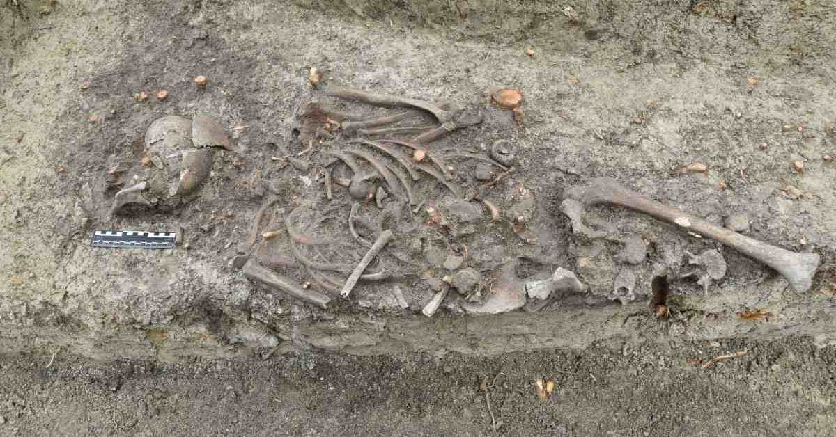 Фото: Lubelski Wojewódzki Konserwator Zabytków