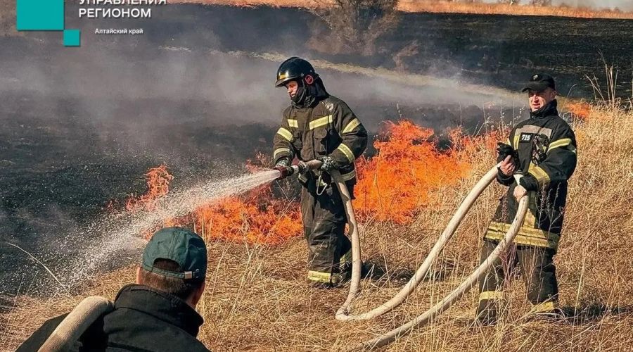 В Алтайском крае сотрудники МЧС тушат ландшафтный пожар 