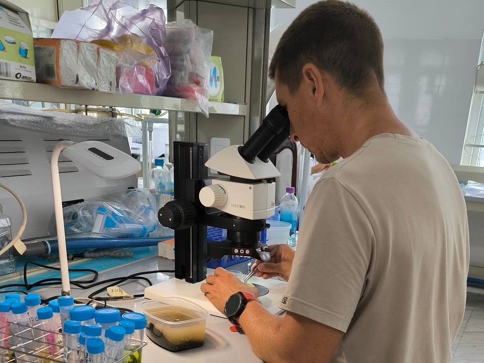 _Вьетнам 6.jpg