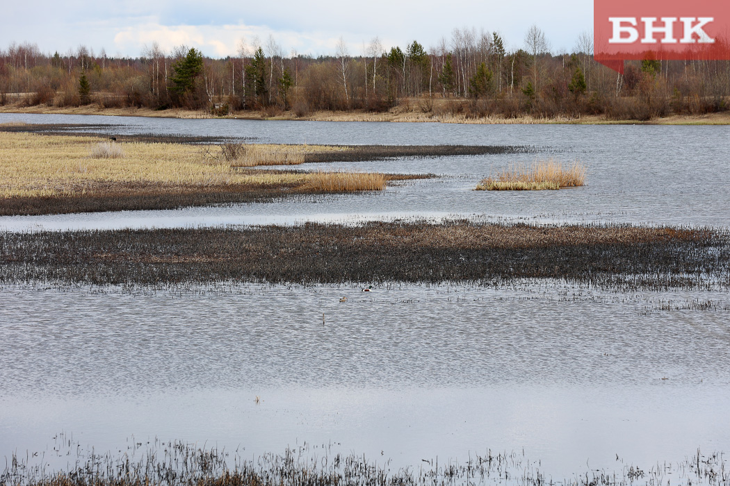В Минприроды Коми продолжают поиск средств на разработку ПСД для расчистки озера Выльты