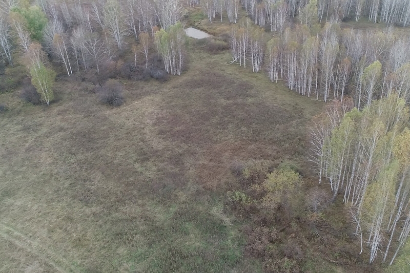 новости курган