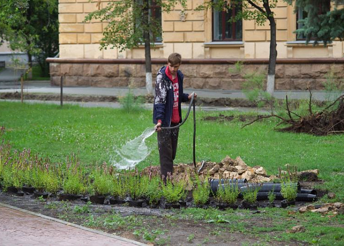 Усиленный полив дорог и растений ввели в Челябинске из-за жары