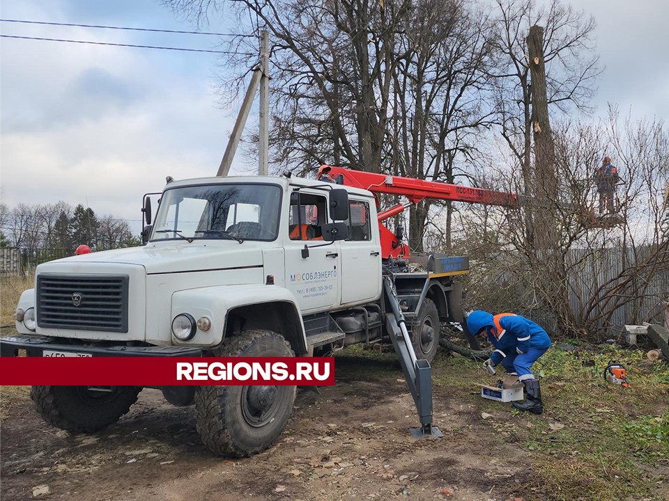 Электричество восстановят в Данках до конца дня