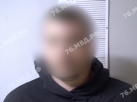 В Ярославле найден водитель, не оплативший 136 штрафов