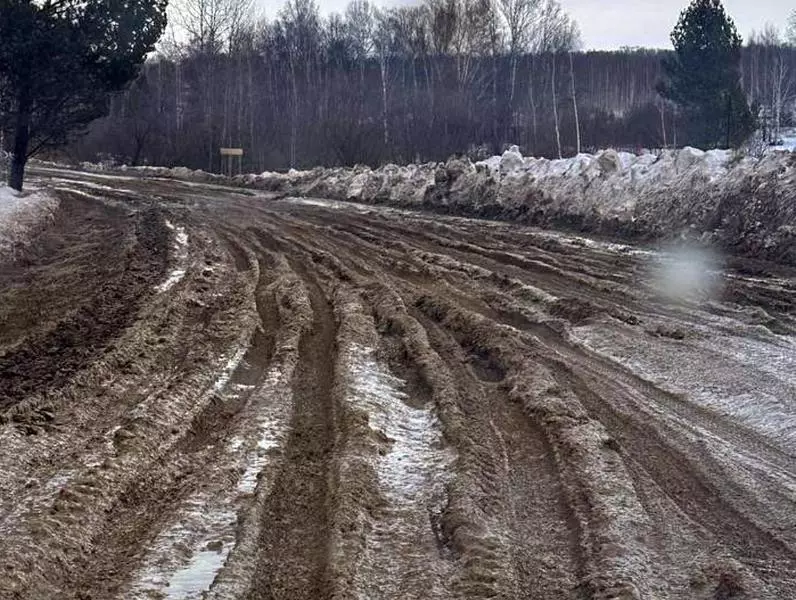 Жители коттеджных поселков вблизи Академгородка пожаловались в редакцию «Академ.Инфо» на отсутствие нормальной дороги.