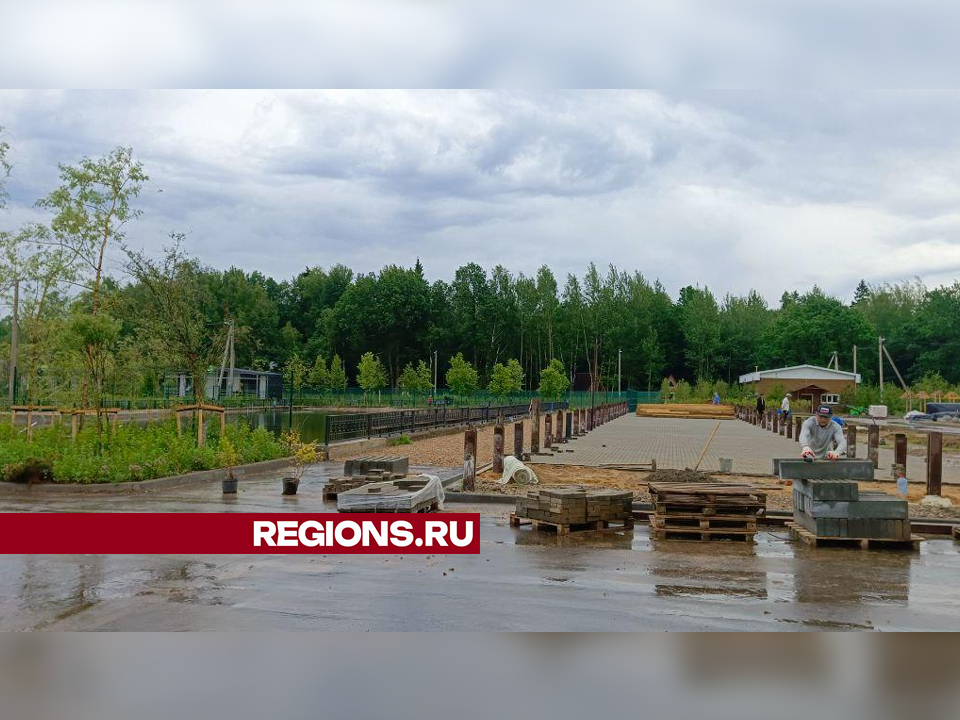 Фото: REGIONS/Евгений Рой