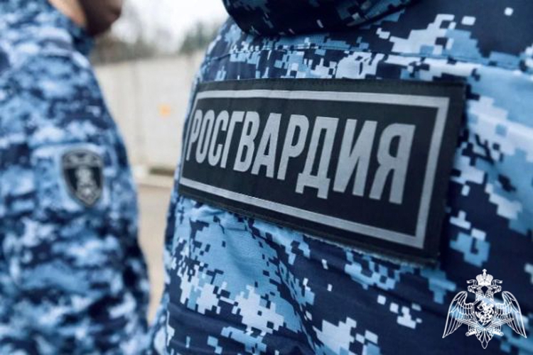 Росгвардейцы по горячим следам задержали рецидивиста, похитившего денежные средства у пенсионерки в Подмосковье (видео)