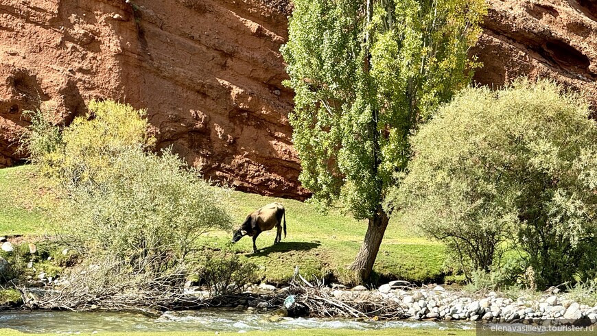 «Сказка» странствий