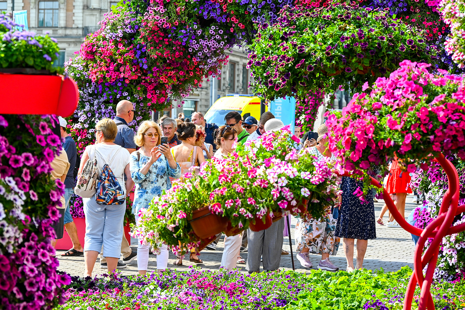 цветы на улицах москвы