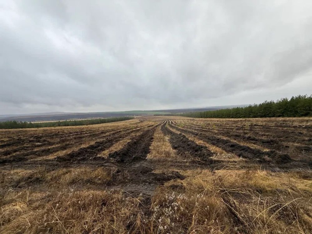 Минприроды Саратовской области