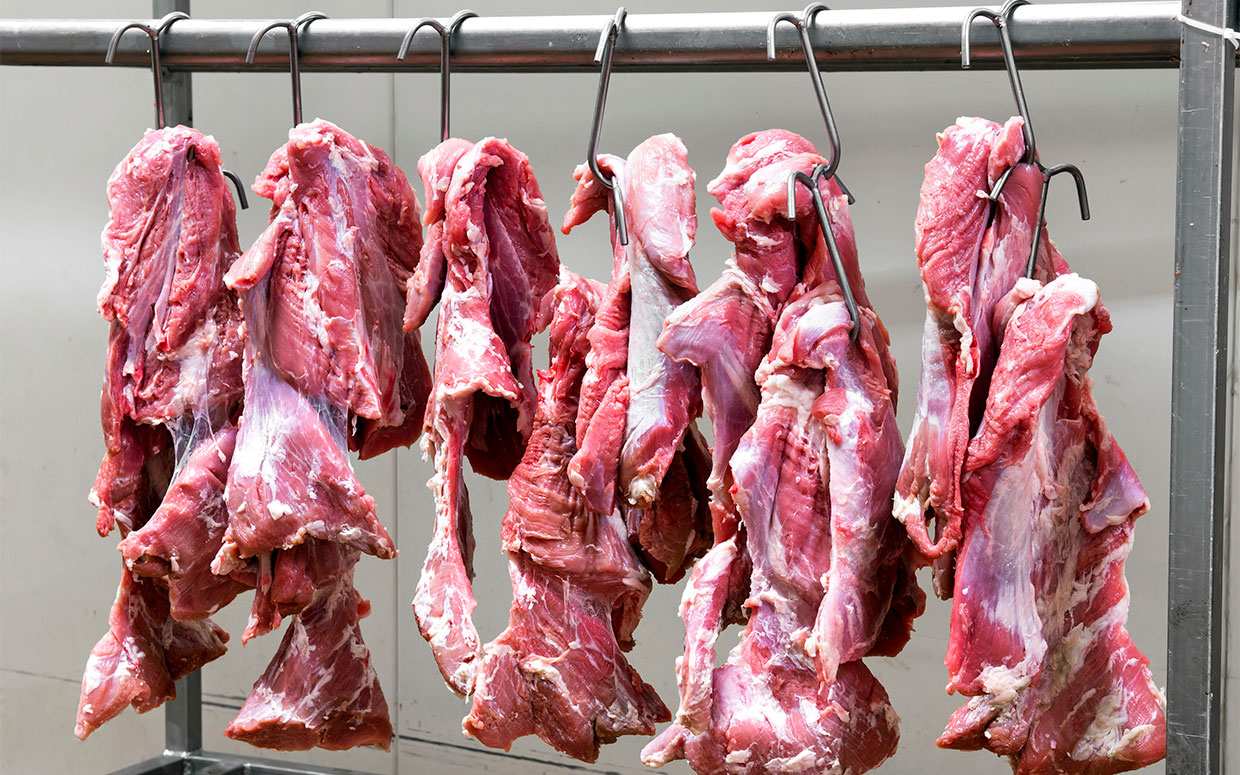 Толпу украинцев пытались вывезти в Европу под видом мяса (ФОТО)