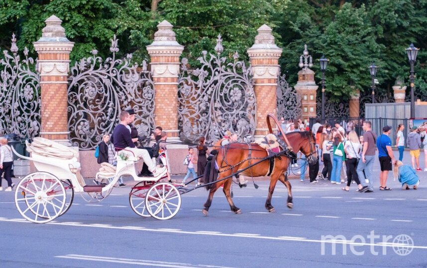 Алёна Бобрович. Фото 