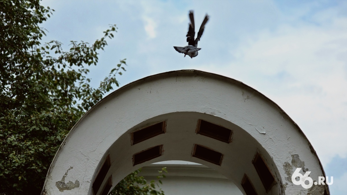 Мэрия ищет новое место для 3600 детей, которые учатся в разрушающейся усадьбе Харитонова