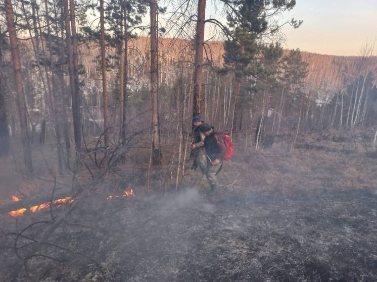 В Иркутской области потушили два лесных пожара