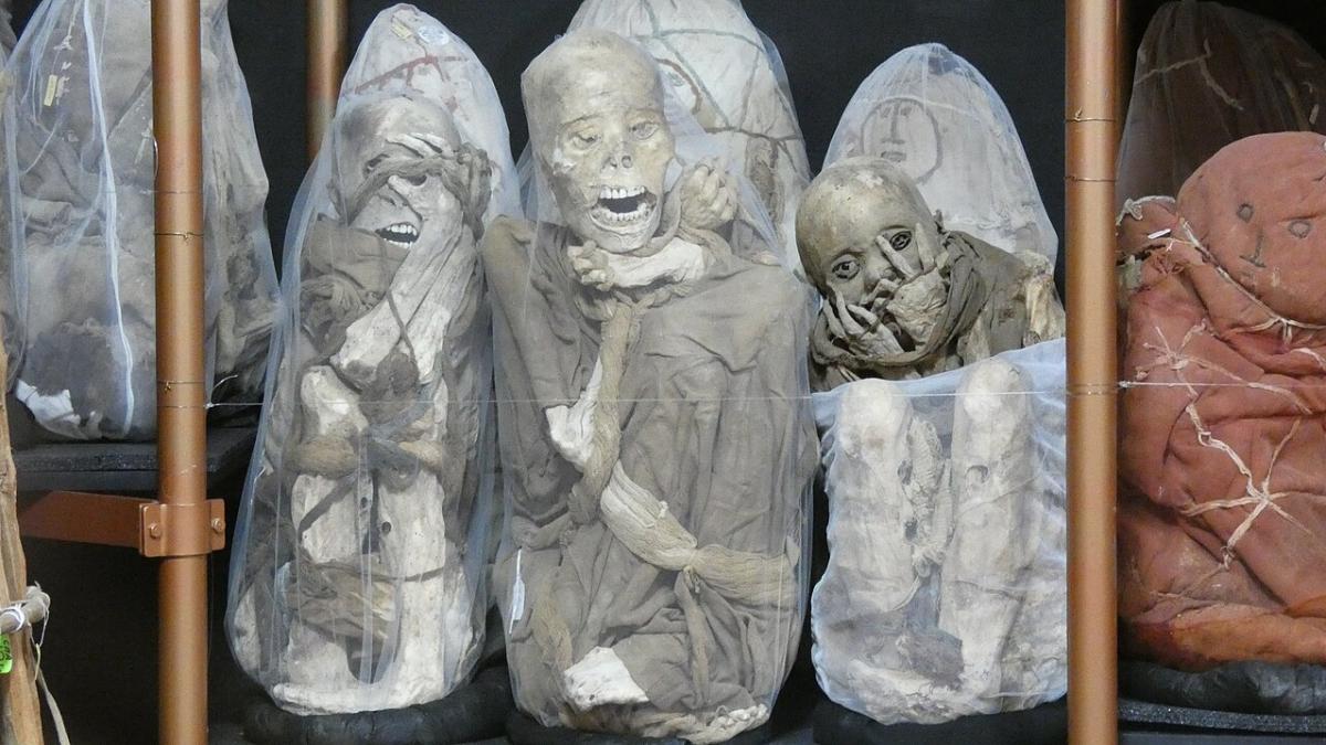 Перуанские мумии инопланетян