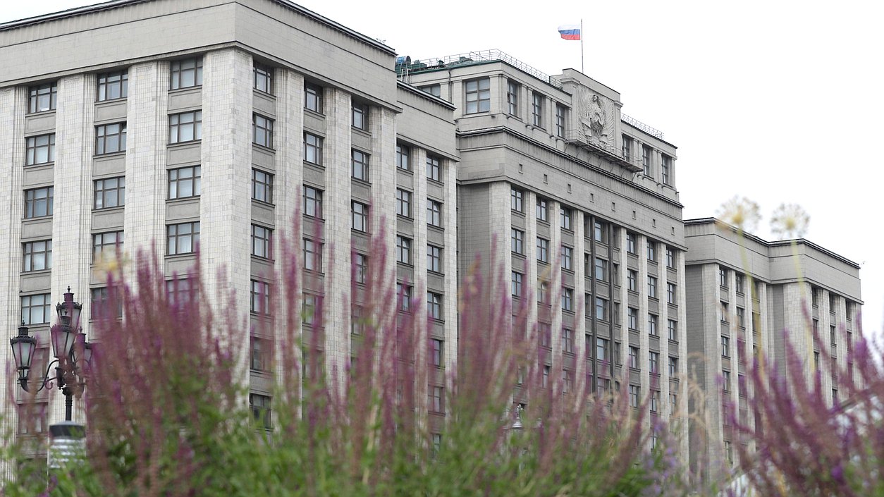 Депутаты Госдумы соревнуются в бредовости законов перед выборами-2026