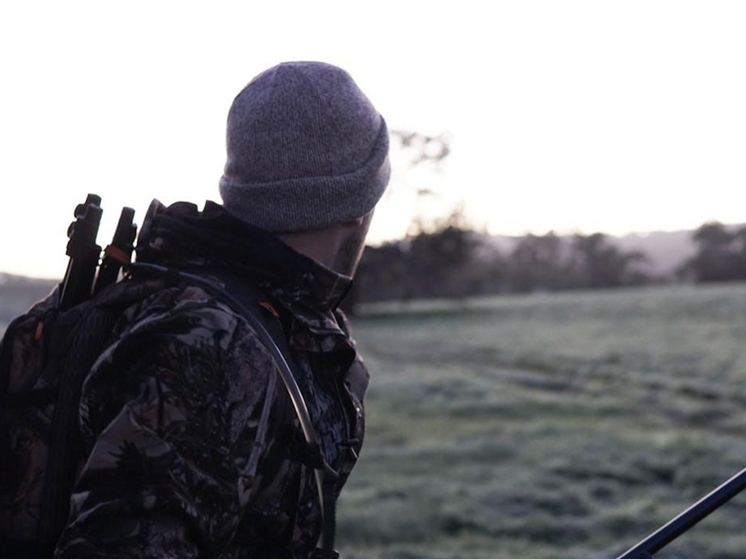 В Новосибирской области разрешили отстрел 83 кабанов и 5 лисиц